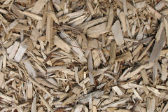 biomass boilers Nutburn