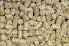 Nutburn biomass boiler costs